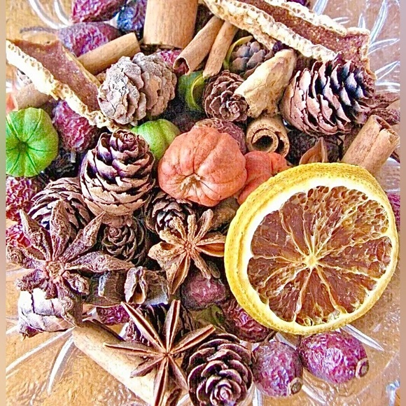 New UNSCENTED Natural Rustic Prim Dried Potpourri Fall Bowl Filler Fixins 2 CUPS - Picture 4 of 6